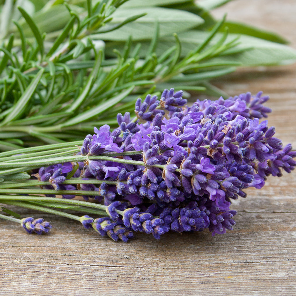 Lavender and Sage Soy Candle